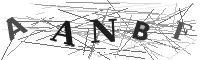 Please refresh your browser to see this image.