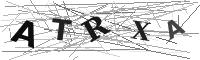 Please refresh your browser to see this image.