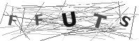 Please refresh your browser to see this image.