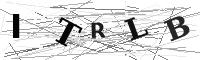 Please refresh your browser to see this image.