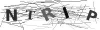 Please refresh your browser to see this image.