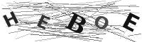 Please refresh your browser to see this image.