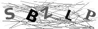 Please refresh your browser to see this image.